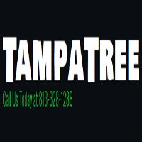 Tampa Tree image 3